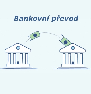 Instantné vklady vs. bankový prevod